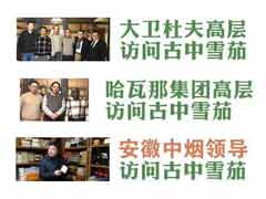 国行雪茄价格表图片网址大全